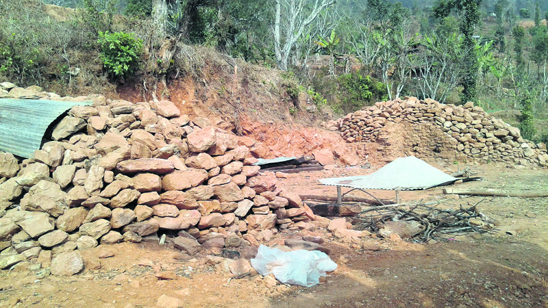 Govt fails to provide promised timber to quake victims